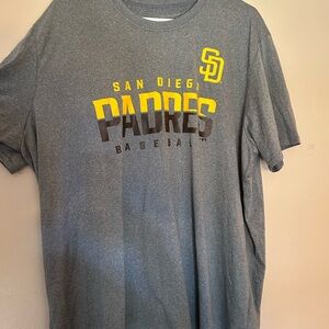 Majestic Gray V-Neck T-Shirt